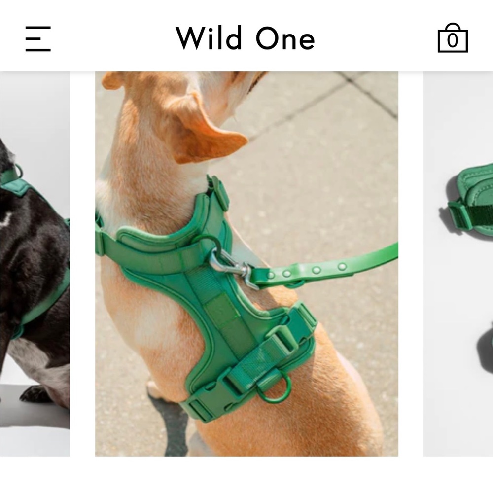 Wildone harness leash set